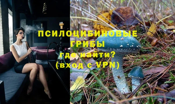 мдпв Сатка