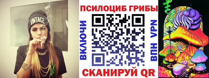 цена   Фатеж  Галлюциногенные грибы Psilocybine cubensis 